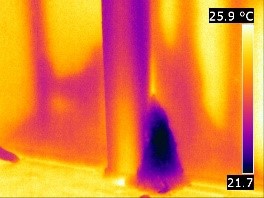 Thermal Imagong 3 Image